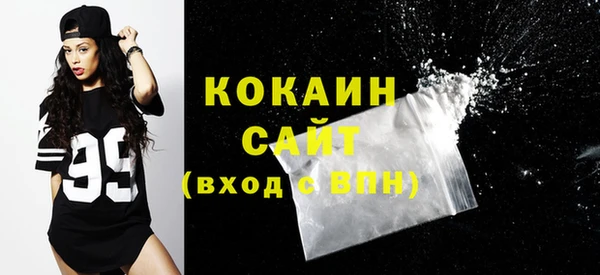 шишки Баксан