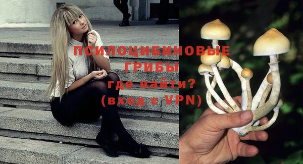шишки Баксан