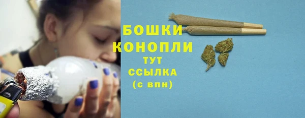 шишки Баксан