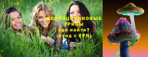 сатива Лихославль