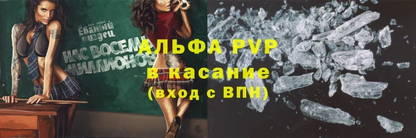 шишки Баксан